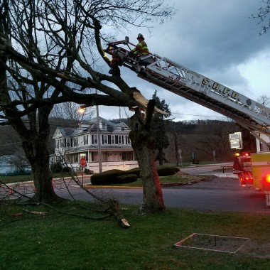 April 3rd, 2016 – Wind Storm Causes Multiple Trees To Fall